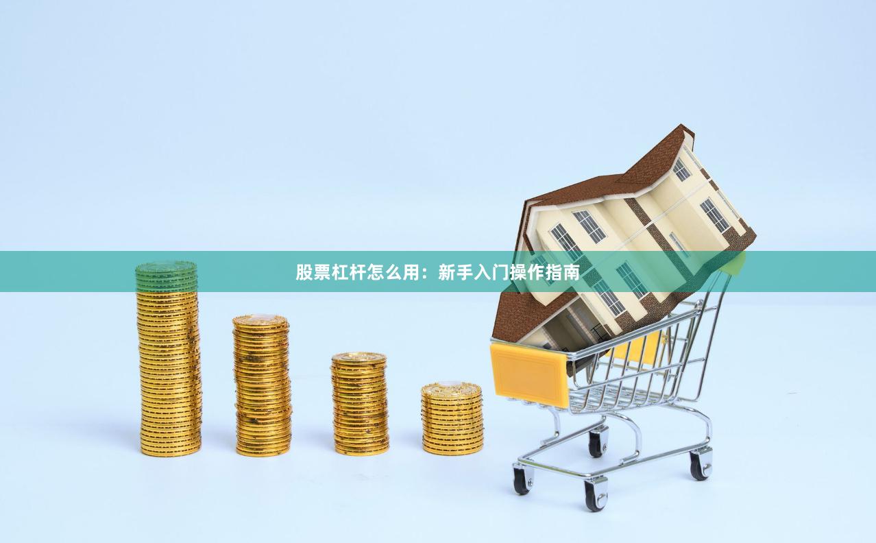 股票杠杆怎么用：新手入门操作指南